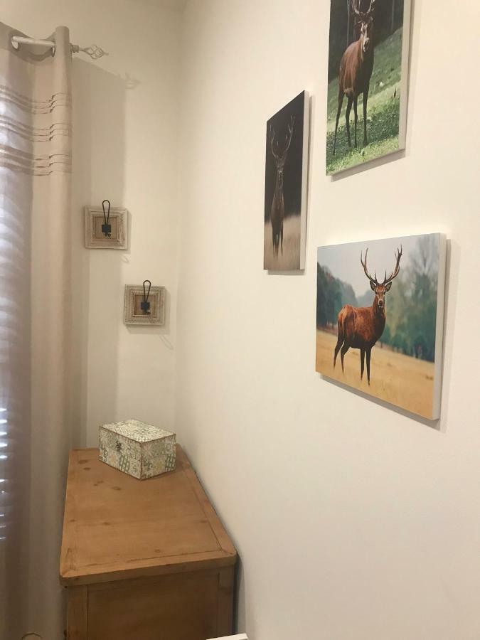 Apartament Neret II Sort Kültér fotó
